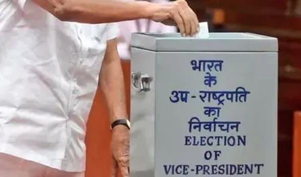 vice presidential election 2023 election