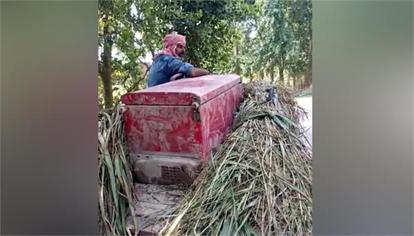 refrigerator found in a sugarcane field after the water receded