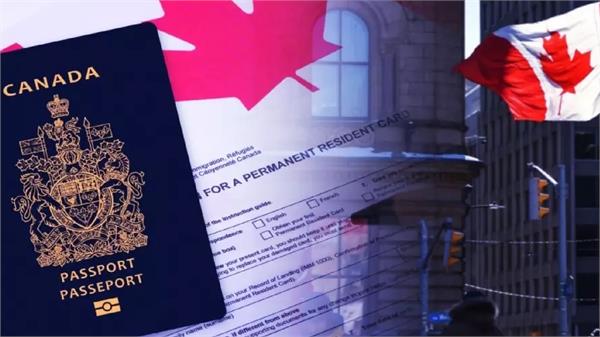 canada did not grant visas to 80 percent of indian students