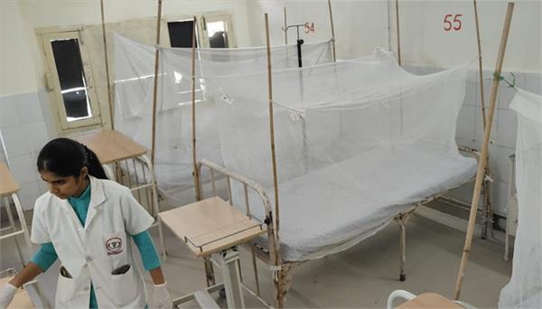 15 cases of dengue positive in bathinda
