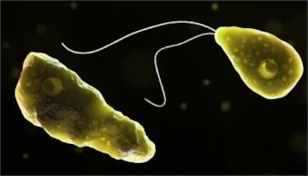 6 deaths in a month due to brain eating amoeba