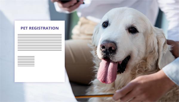 dog registration mandatory
