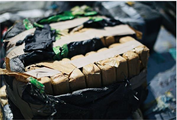 punjabi man living in california pleads guilty to drug trafficking charges
