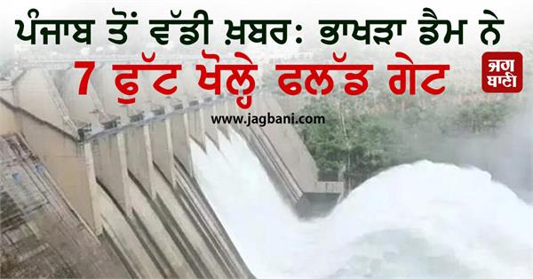 bhakra dam opens flood gates 7 feet