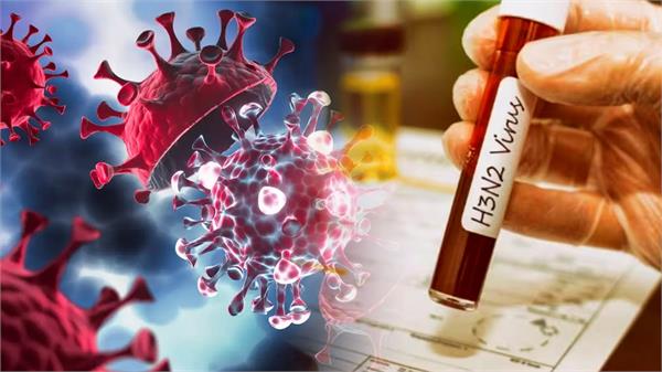 h3n2 virus viral infection