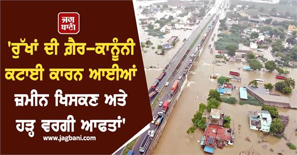 illegal cutting trees landslides floods