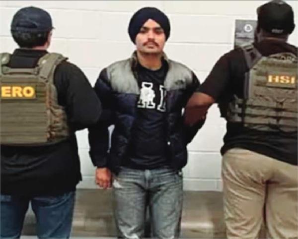 big news another punjabi faces deportation