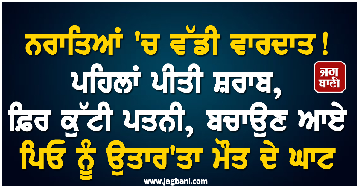 ਨਰਾਤਿਆਂ 'ਚ ਵੱਡੀ ਵਾਰਦਾਤ ! ਪਹਿਲਾਂ ਪੀਤੀ ਸ਼ਰਾਬ, ਫ਼ਿਰ ਕੁੱਟੀ ਪਤਨੀ, ਬਚਾਉਣ ਆਏ ਪਿਓ ਨੂੰ ਉਤਾਰ'ਤਾ ਮੌਤ ਦੇ ਘਾਟ