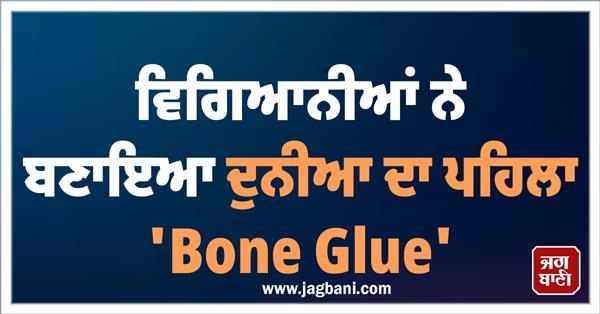 scientists bone glue bones