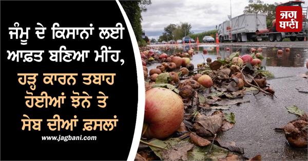 jammu farmers rain floods destroyed rice apple crops