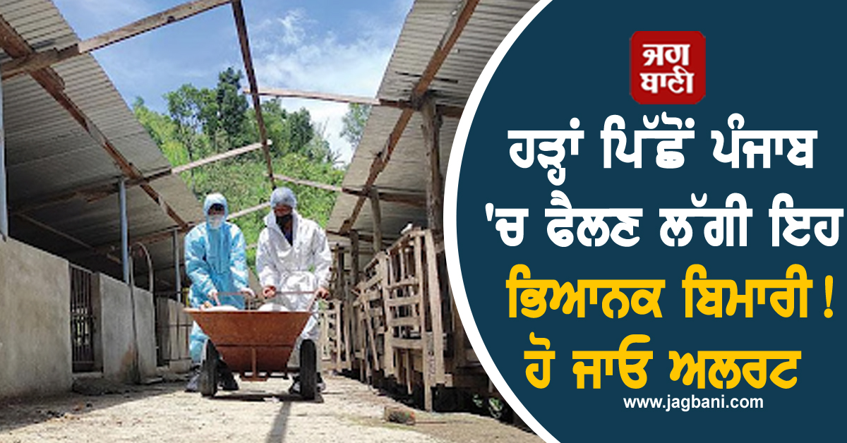 ਹੜ੍ਹਾਂ ਪਿੱਛੋਂ ਪੰਜਾਬ ''ਚ ਫੈਲਣ ਲੱਗੀ ਇਹ ਭਿਆਨਕ ਬਿਮਾਰੀ! ਹੋ ਜਾਓ ਅਲਰਟ