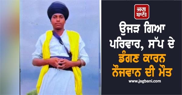 youth dies due to snake bite