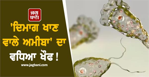 67th case of brain eating amoeba infection found in kerala