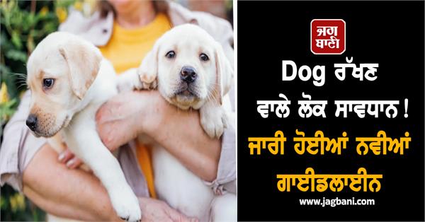 dog new guidelines feeding zones