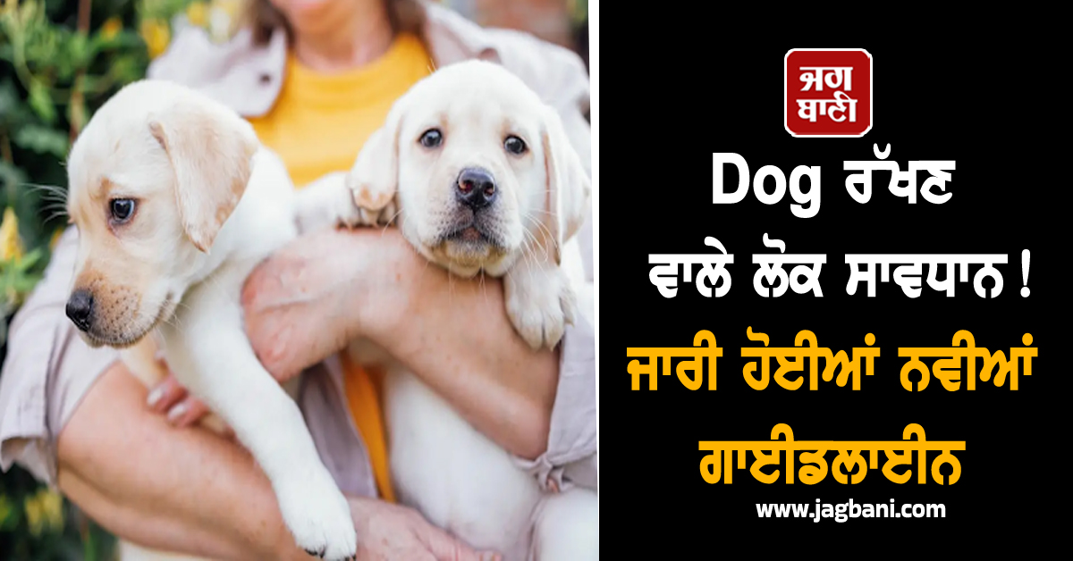 Dog ਰੱਖਣ ਵਾਲੇ ਲੋਕ ਸਾਵਧਾਨ! ਜਾਰੀ ਹੋਈਆਂ ਨਵੀਆਂ ਗਾਈਡਲਾਈਨ