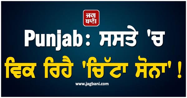 punjab minister press confrence