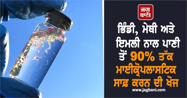 okra fenugreek tamarind microplastic water