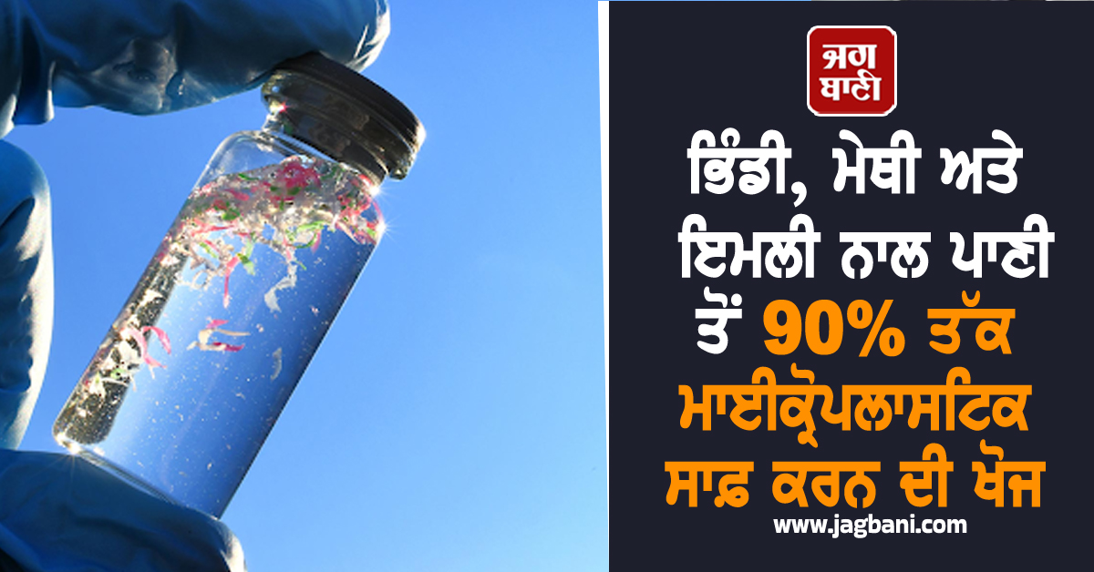 ਭਿੰਡੀ, ਮੇਥੀ ਅਤੇ ਇਮਲੀ ਨਾਲ ਪਾਣੀ ਤੋਂ 90% ਤੱਕ ਮਾਈਕ੍ਰੋਪਲਾਸਟਿਕ ਸਾਫ਼ ਕਰਨ ਦੀ ਖੋਜ