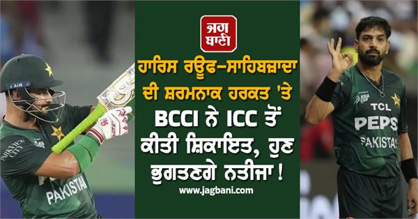bcci complains to icc over haris rauf sahibzada s shameful act