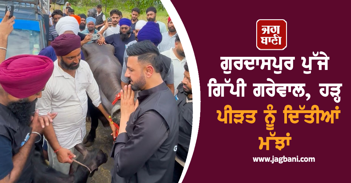 ਗੁਰਦਾਸਪੁਰ ਪੁੱਜੇ ਗਿੱਪੀ ਗਰੇਵਾਲ, ਹੜ੍ਹ ਪੀੜਤ ਨੂੰ ਦਿੱਤੀਆਂ ਮੱਝਾਂ
