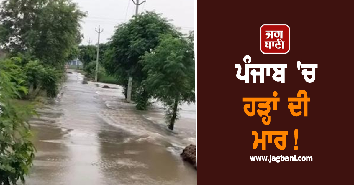 ਪੰਜਾਬ ''ਚ ਹੜ੍ਹਾਂ ਦੀ ਮਾਰ! ਸਤਲੁਜ ਦਰਿਆ ਖ਼ਤਰੇ ਦੇ ਨਿਸ਼ਾਨ ਤੋਂ ਪਾਰ, ਰੇਲ ਆਵਾਜਾਈ ਠੱਪ
