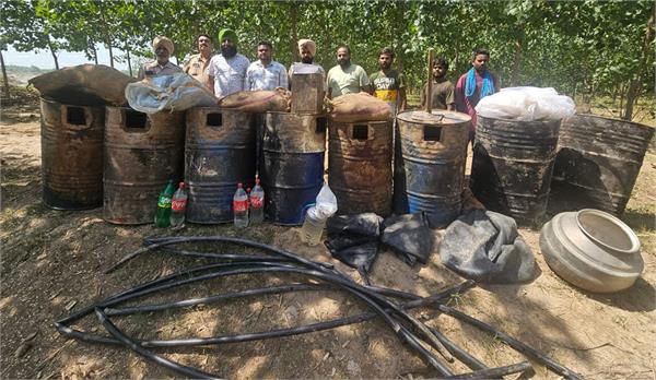 excise department search  250 bottles  6000 liters of desi liquor recovered