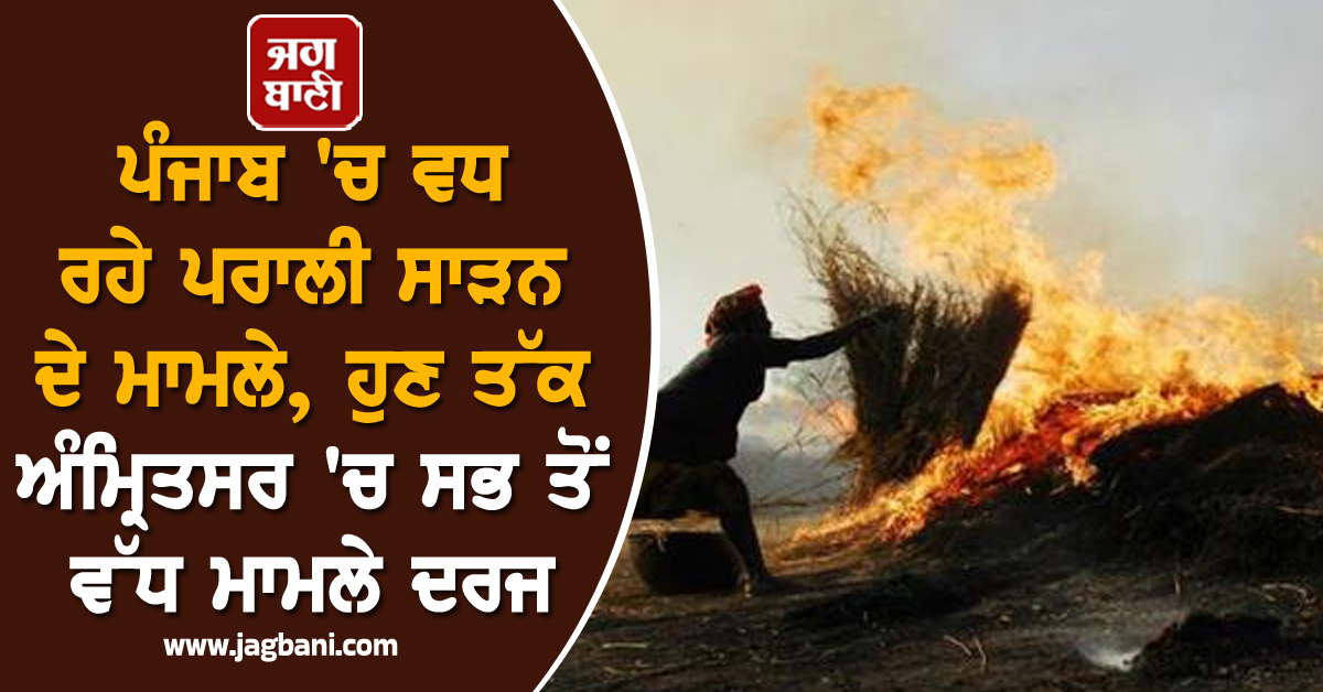 ਪੰਜਾਬ 'ਚ ਵਧ ਰਹੇ ਪਰਾਲੀ ਸਾੜਨ ਦੇ ਮਾਮਲੇ, ਹੁਣ ਤੱਕ ਅੰਮ੍ਰਿਤਸਰ 'ਚ ਸਭ ਤੋਂ ਵੱਧ ਮਾਮਲੇ ਦਰਜ