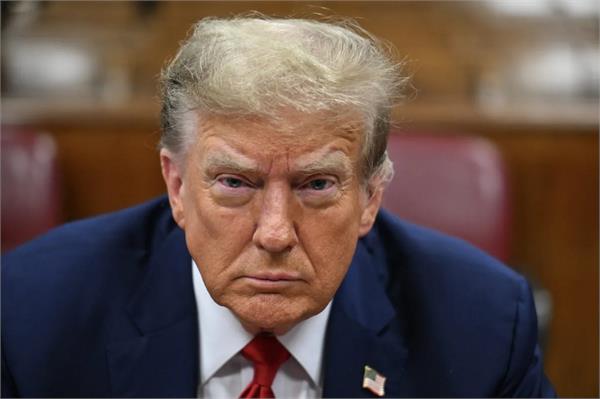 american actor donald trump dog national disaster