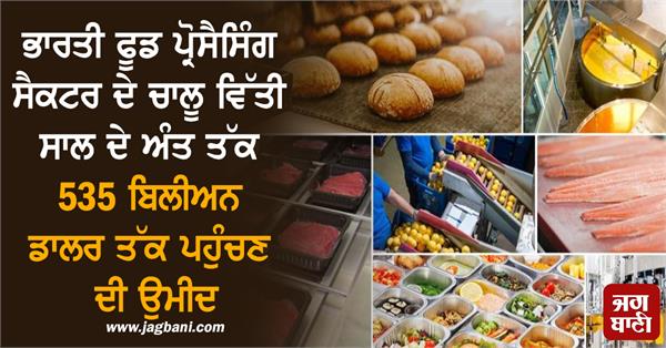 indian food processing sector