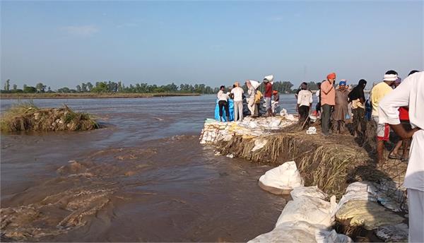 sutlej river  dhusi bann  danger
