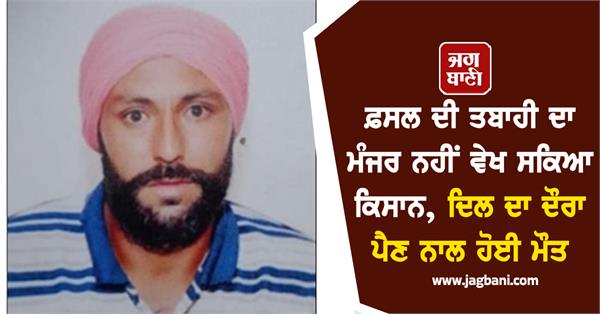 farmer could not bear the sight of crop destruction