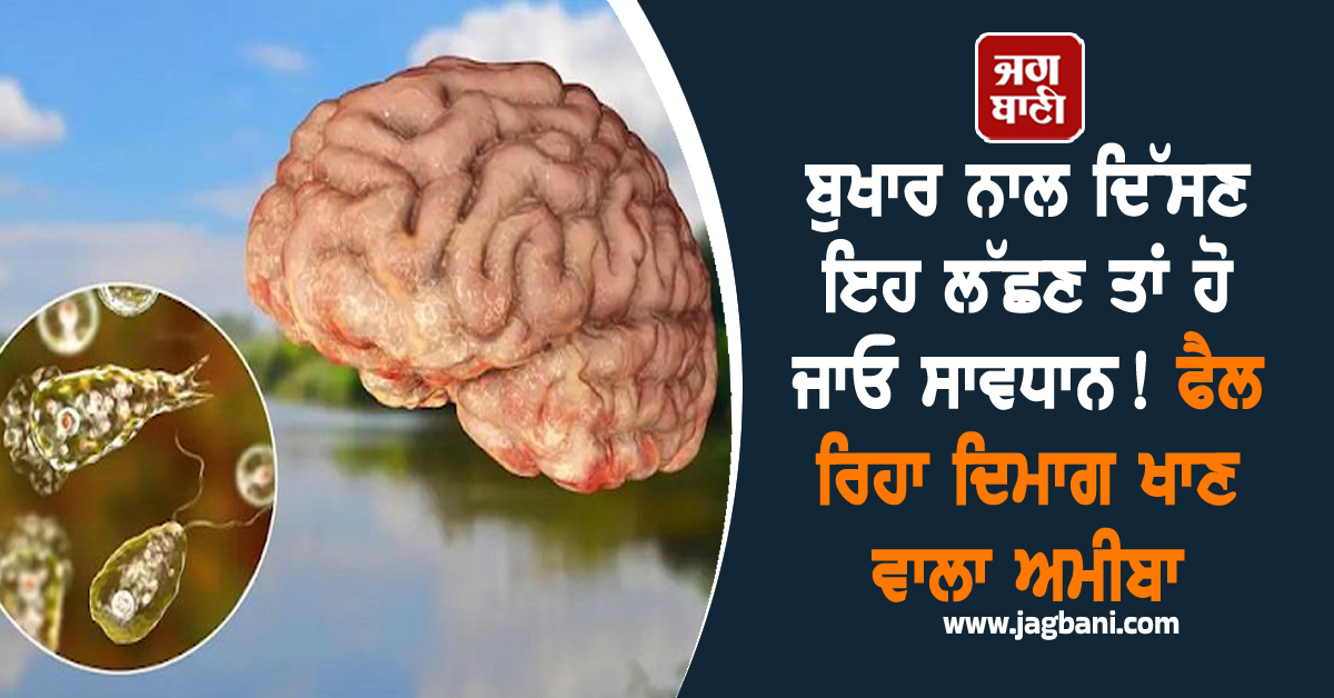 ਬੁਖਾਰ ਨਾਲ ਦਿੱਸਣ ਇਹ ਲੱਛਣ ਤਾਂ ਹੋ ਜਾਓ ਸਾਵਧਾਨ! ਫੈਲ ਰਿਹਾ ਦਿਮਾਗ ਖਾਣ ਵਾਲਾ ਅਮੀਬਾ, 19 ਮੌਤਾਂ