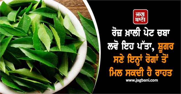 curry leaves diabetes hair liver health
