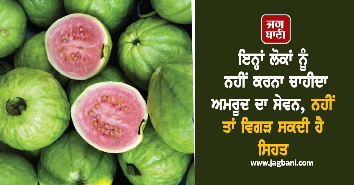 ਇਨ੍ਹਾਂ ਲੋਕਾਂ ਨੂੰ ਨਹੀਂ ਕਰਨਾ ਚਾਹੀਦਾ ਅਮਰੂਦ ਦਾ ਸੇਵਨ, ਨਹੀਂ ਤਾਂ ਵਿਗੜ ਸਕਦੀ ਹੈ ਸਿਹਤ