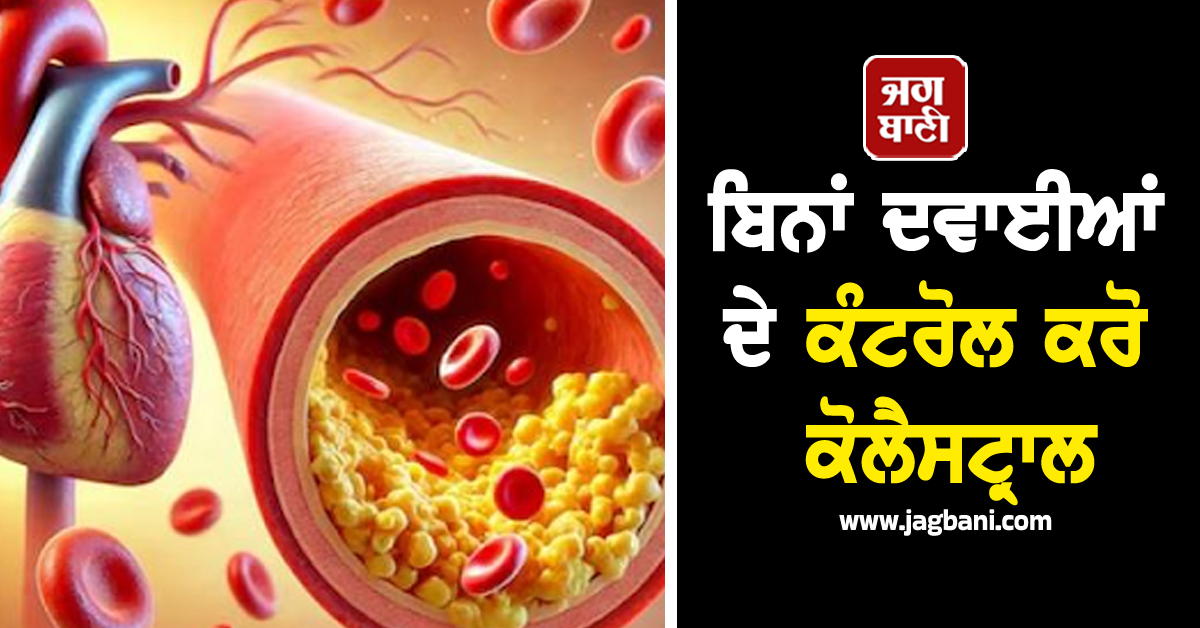 ਬਿਨਾਂ ਦਵਾਈਆਂ ਦੇ ਕੰਟਰੋਲ ਕਰੋ ਕੋਲੈਸਟ੍ਰਾਲ, ਹਾਰਟ ਅਟੈਕ ਦਾ ਖ਼ਤਰਾ ਵੀ ਰਹੇਗਾ ਦੂਰ