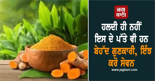 turmeric leaves benefits