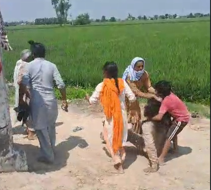 ਮਾਮੂਲੀ ਤਕਰਾਰ ਨੇ ਧਾਰਿਆ ਖੂਨੀ ਰੂਪ, ਬਜ਼ੁਰਗ ਔਰਤ ਦੀ ਮੌਤ