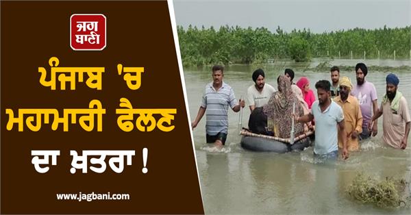 danger of epidemic spreading in punjab