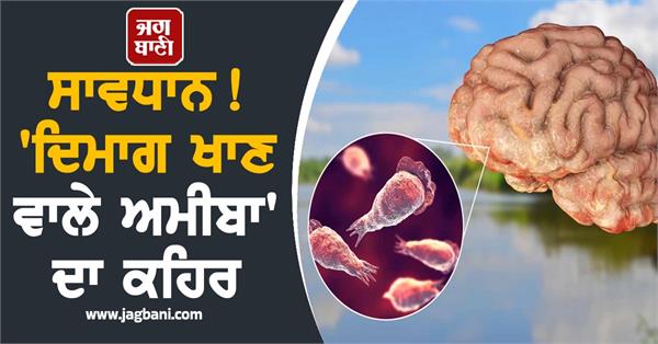 wrath of   brain eating amoeba  