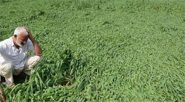 government makes big announcement for farmers