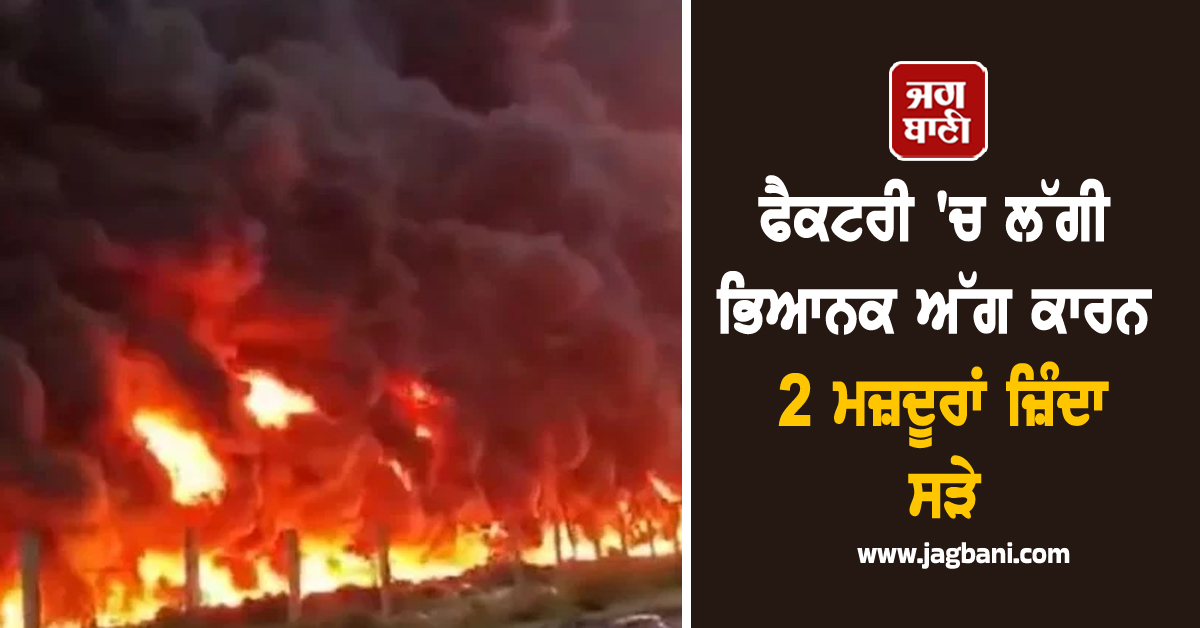 ਫੈਕਟਰੀ 'ਚ ਲੱਗੀ ਭਿਆਨਕ ਅੱਗ ਕਾਰਨ 2 ਮਜ਼ਦੂਰਾਂ ਜ਼ਿੰਦਾ ਸੜੇ, ਅਸਮਾਨ 'ਤੇ ਛਾਇਆ ਕਾਲਾ ਧੂੰਆ