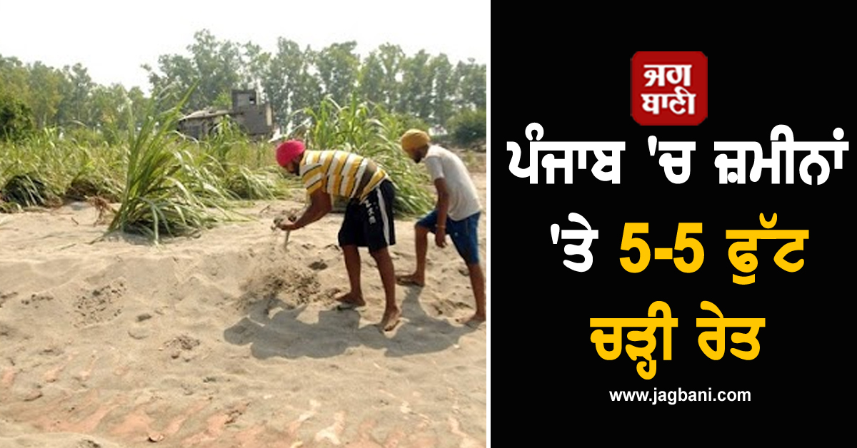 ਪੰਜਾਬ 'ਚ ਜ਼ਮੀਨਾਂ 'ਤੇ 5-5 ਫੁੱਟ ਚੜ੍ਹੀ ਰੇਤ, ਇਹ ਜ਼ਿਲ੍ਹੇ ਹੋਏ ਸਭ ਤੋਂ ਵੱਧ ਪ੍ਰਭਾਵਿਤ