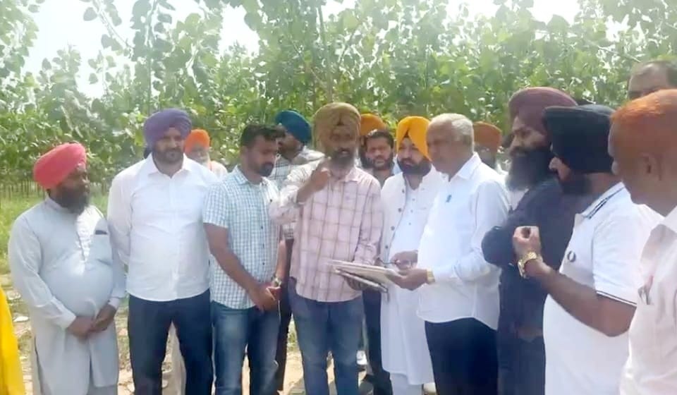 ਫ਼ਸਲਾਂ ਦੇ ਨਾਲ-ਨਾਲ ਜ਼ਮੀਨਾਂ ਦੇ ਨੁਕਸਾਨ ਦਾ ਵੀ ਦੇਵਾਂਗੇ ਮੁਆਵਜ਼ਾ: ਗੋਇਲ
