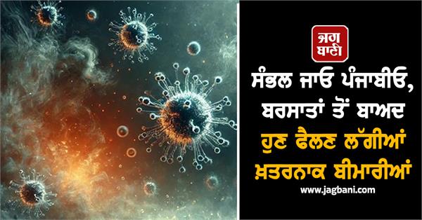dangerous diseases has started in punjab