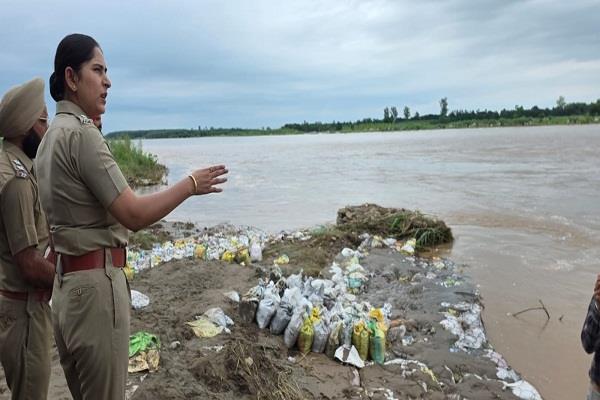 the dhussi dam of the sutlej river near machhiwara is safe