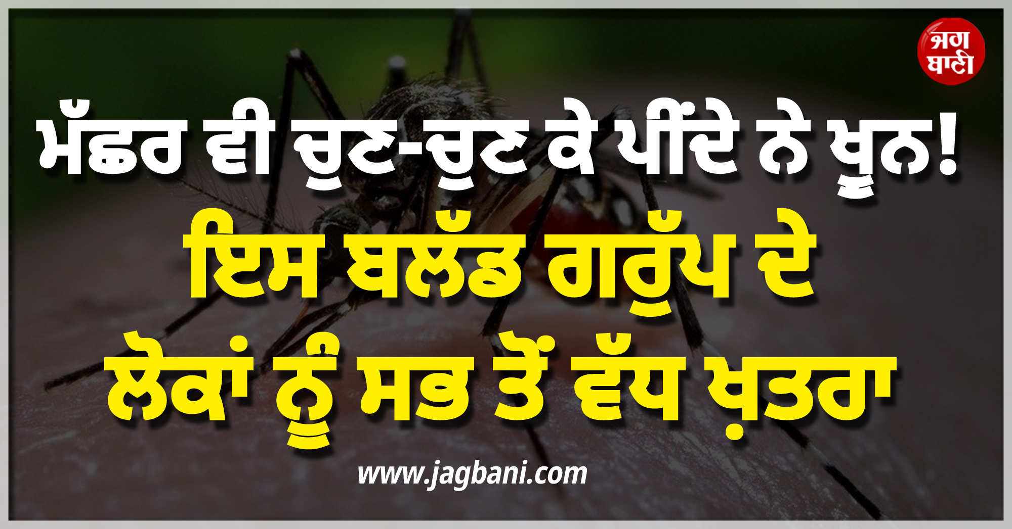 ਮੱਛਰ ਵੀ ਚੁਣ-ਚੁਣ ਕੇ ਪੀਂਦੇ ਨੇ ਖ਼ੂਨ ! ਇਸ ਬਲੱਡ ਗਰੁੱਪ ਦੇ ਲੋਕਾਂ ਨੂੰ ਸਭ ਤੋਂ ਵੱਧ ਖ਼ਤਰਾ