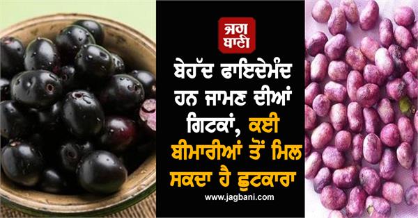 java plum seed benefits diseases jamun