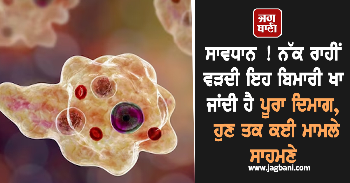 ਸਾਵਧਾਨ ! ਨੱਕ ਰਾਹੀਂ ਵੜਦੀ ਇਹ ਬਿਮਾਰੀ ਖਾ ਜਾਂਦੀ ਹੈ ਪੂਰਾ ਦਿਮਾਗ, ਹੁਣ ਤਕ ਕਈ ਮਾਮਲੇ ਸਾਹਮਣੇ