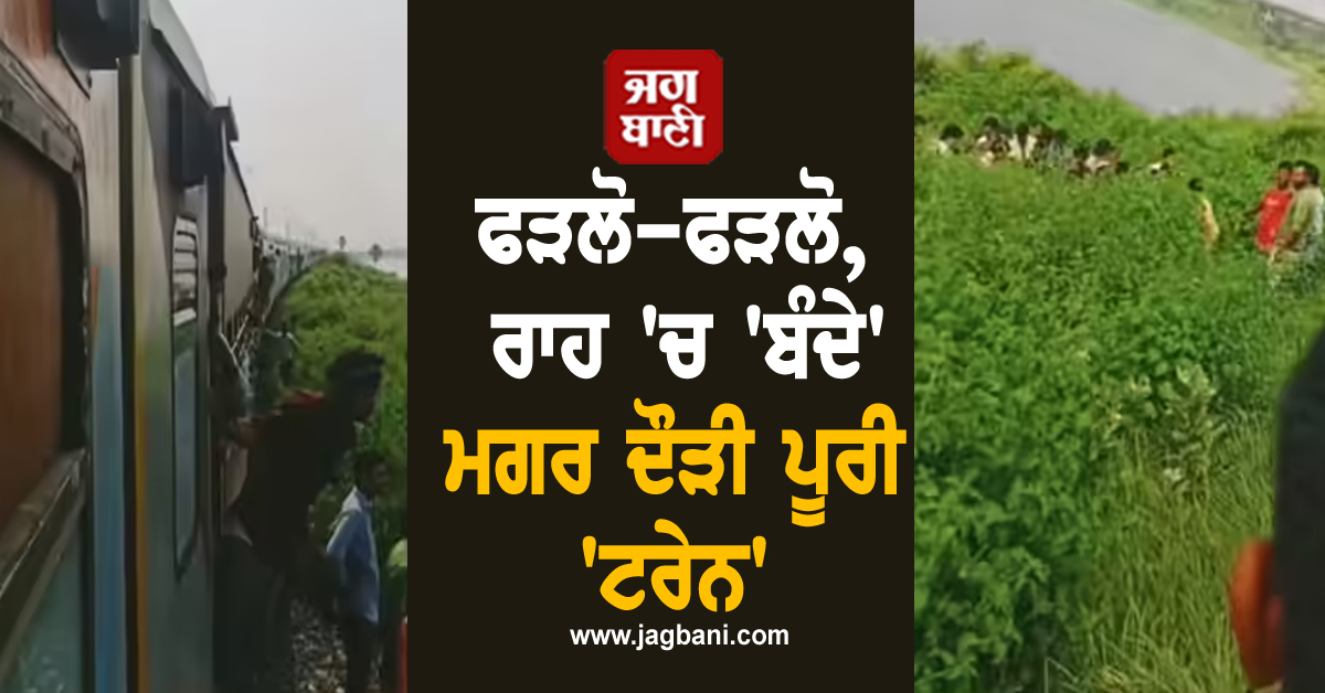 ਫੜਲੋ-ਫੜਲੋ, ਰਾਹ ''ਚ ''ਬੰਦੇ'' ਮਗਰ ਦੌੜੀ ਪੂਰੀ ''ਟਰੇਨ'', ਹੈਰਾਨ ਕਰੇਗਾ ਪੂਰਾ ਮਾਮਲਾ