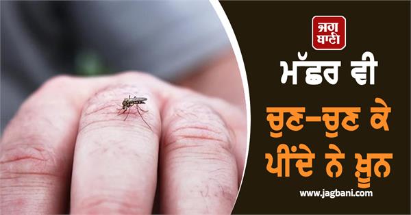 mosquitoes blood group blood people